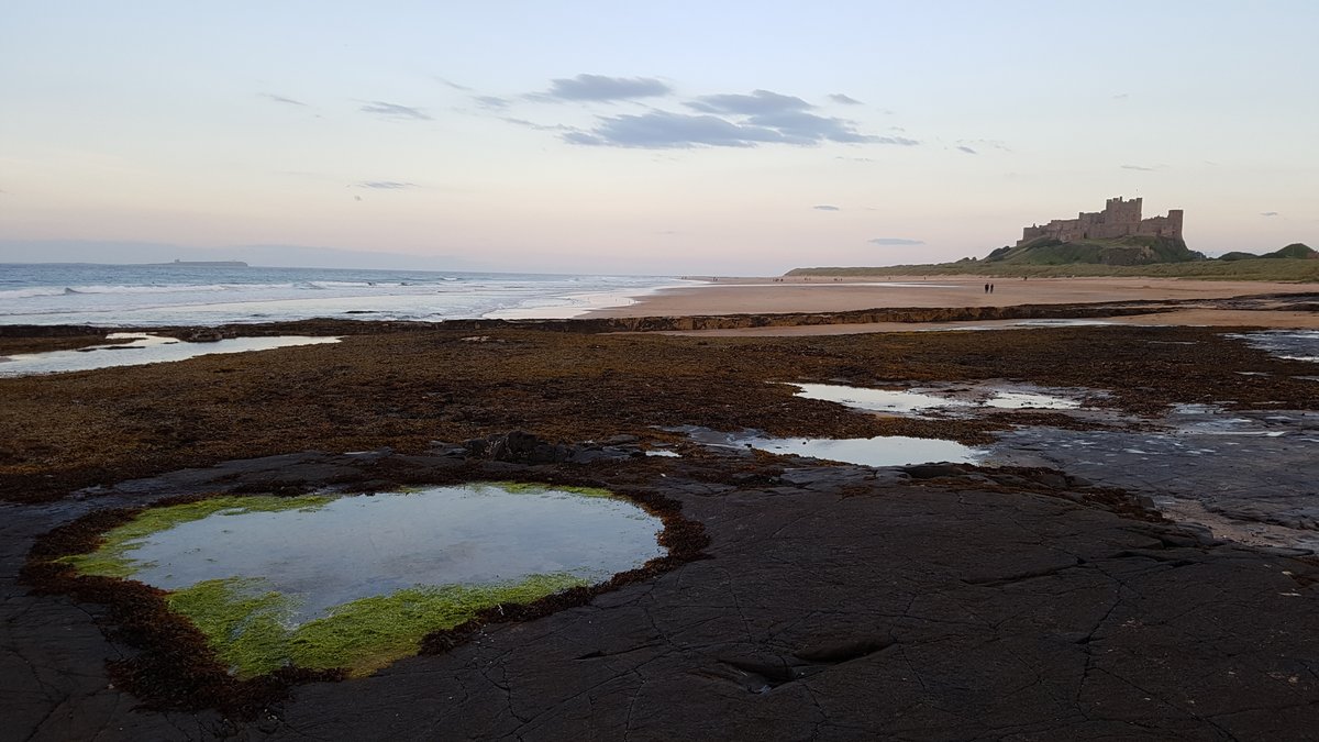 cornish_jack's tweet photo. A very short walk on the path from Land's End to John O'Groats but I did get on a boat to look at some seals.
#LEJOG2017 #LandsEndToJohnOGroats
DAY 70: Seahouses to Bamburgh (3.62m)
https://t.co/KFLXwUScW6 https://t.co/vLY5GZ5aY5