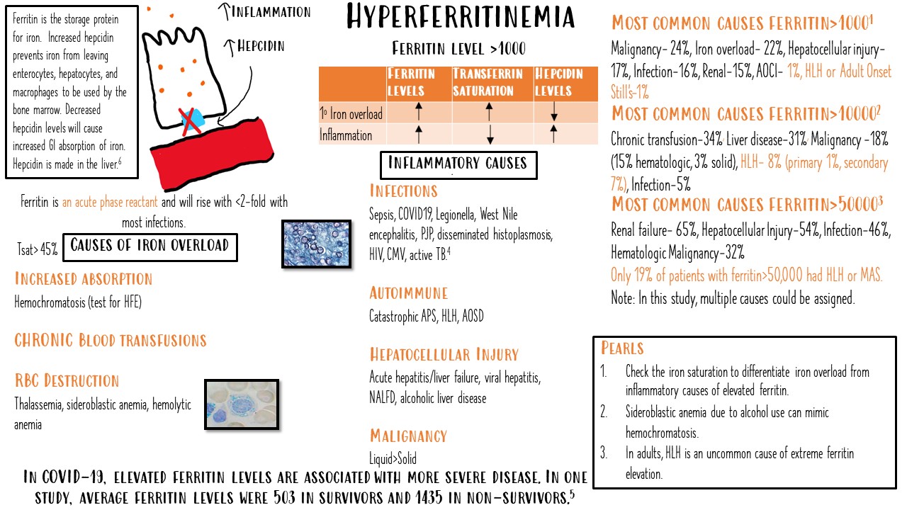 Ann Marie Kumfer on Twitter "I wanted to repost my hyperferritinemia