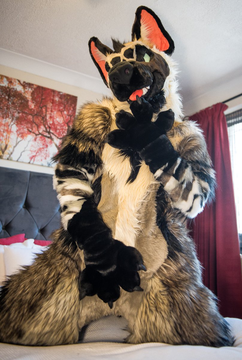 RennHyena's tweet photo. Yeen spice level: 🌶🌶
How hot can you handle? 😏 https://t.co/w2Whs3460D