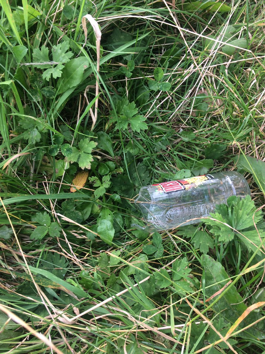 mel_sherrington's tweet photo. @cardiffcouncil #quickquery found this broken bottle around Maindy cycle track this morning whilst walking dogo. I picked it up and disposed but could have caused injury to kids/animals. Plz you could arrange a litter pick as it’s in a terrible mess! TIA https://t.co/4P8kXoZ5JC
