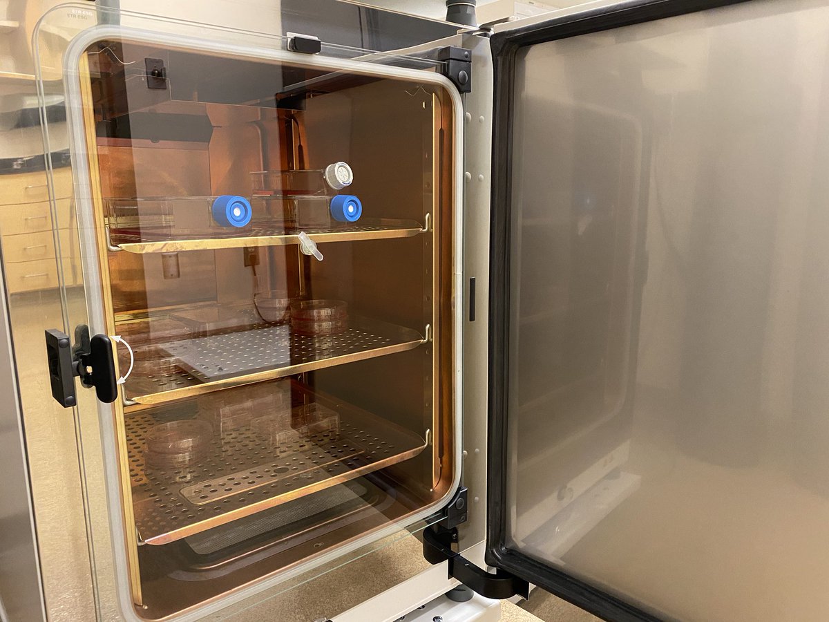 wthomp99's tweet photo. So fun to get new lab equipment. Love the copper! Iβd eat off that, but still waiting to get IBC approval. Thanks to @katie_rust_ for getting this all setup. #LabChristmas @IUPUISHHS @IUMedSchool https://t.co/SbvhszsUzm