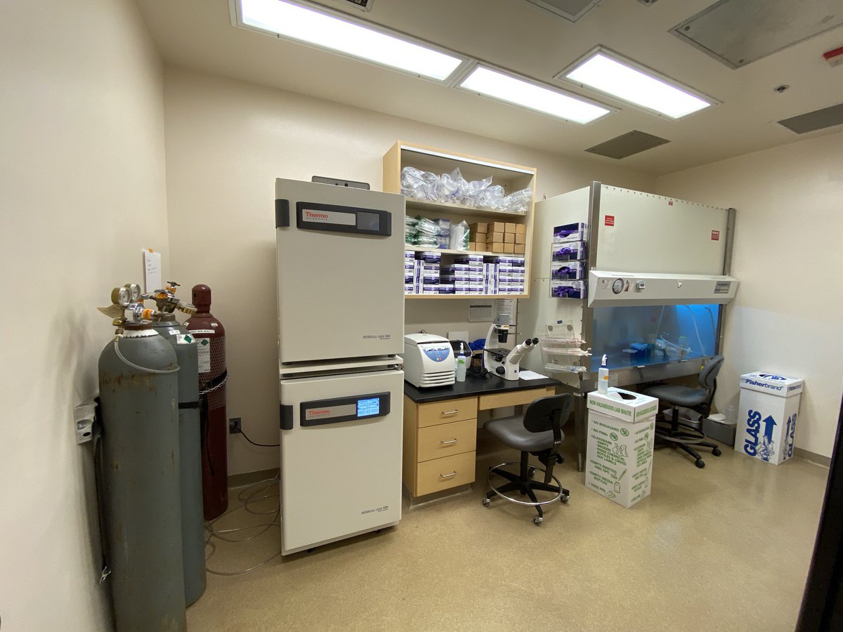 wthomp99's tweet photo. So fun to get new lab equipment. Love the copper! Iβd eat off that, but still waiting to get IBC approval. Thanks to @katie_rust_ for getting this all setup. #LabChristmas @IUPUISHHS @IUMedSchool https://t.co/SbvhszsUzm