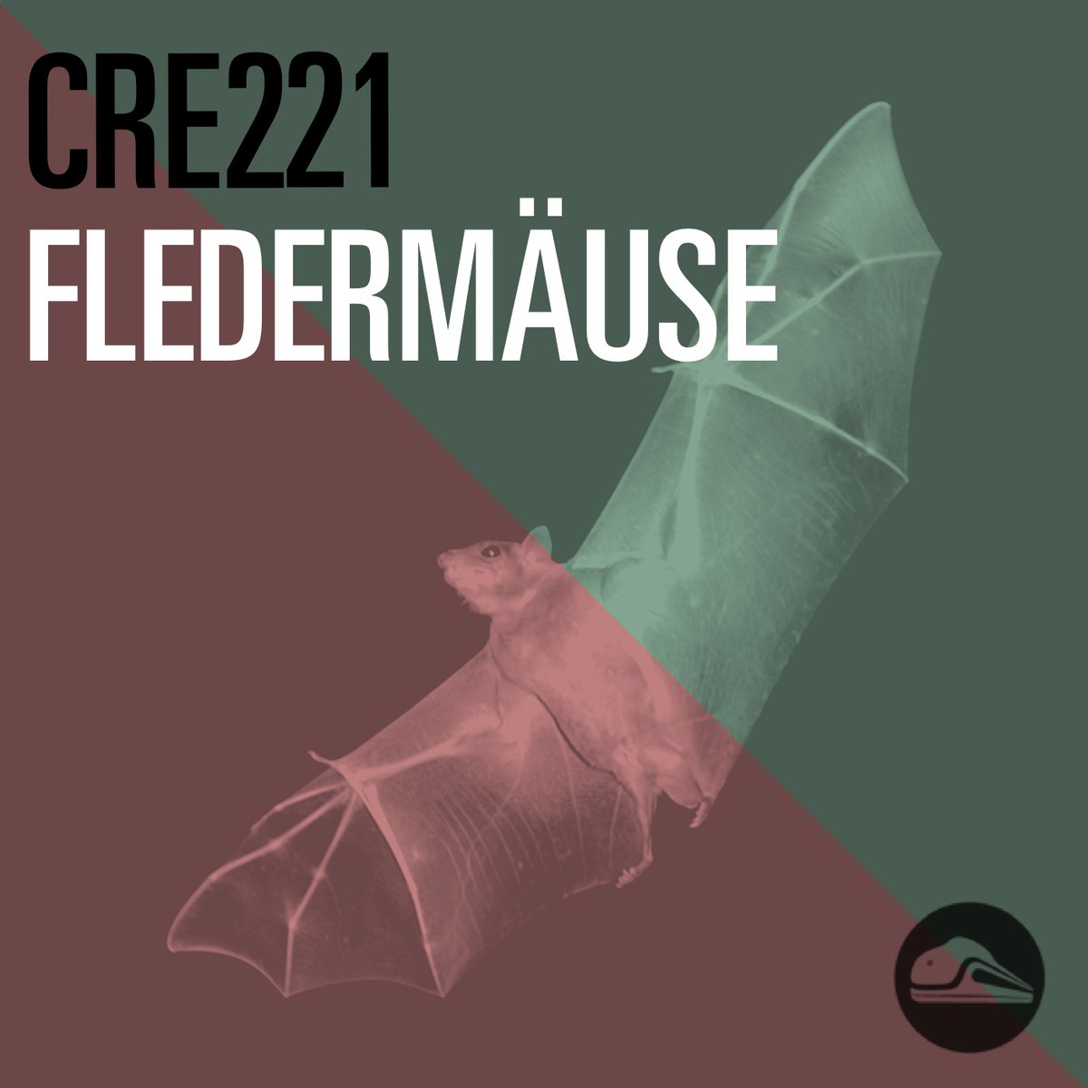 Neue Ausgabe von CRE: CRE221 Fledermäuse — Die Superhelden der Nacht und ihre labile Stellung in der Krise der Natur cre.fm/cre221-flederm…