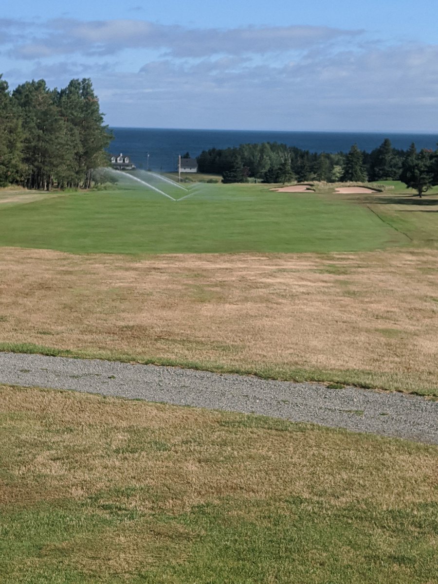 Course is getting very firey around the edges.... playing the way we like it.