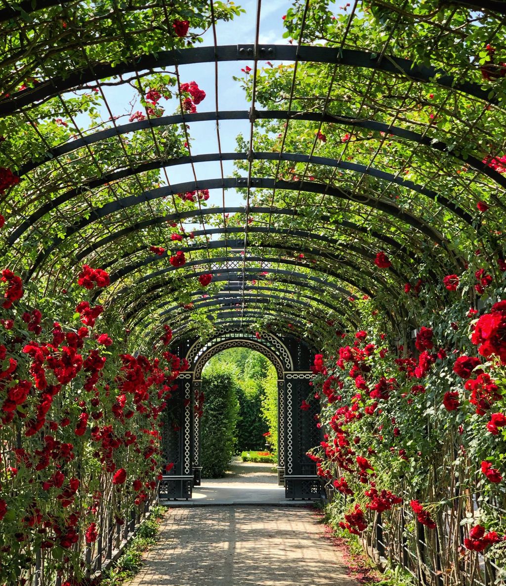 MorganLandscape's tweet photo. “To plant a garden is to believe in tomorrow.” #summer #august #garden #homeandgarden #flowers #landscaping #maintenance #horticulture #backyard #inspirationalquotes #charlottenc #keepingcharlottegreen #themorganlandscapegroup https://t.co/uWpOLjUfyV