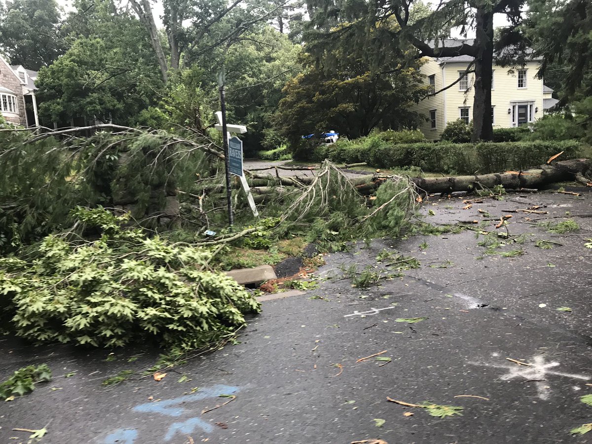 Did the storm knock down some large trees and branches for you?
Perfect to have for sudden hurricanes and storms. We recommend always having a chain mate in your car for emergencies like this! Order today
#isaias #storm #chainsaw #treedown #hurrican #usa homedepot.com/p/High-Limb-48…