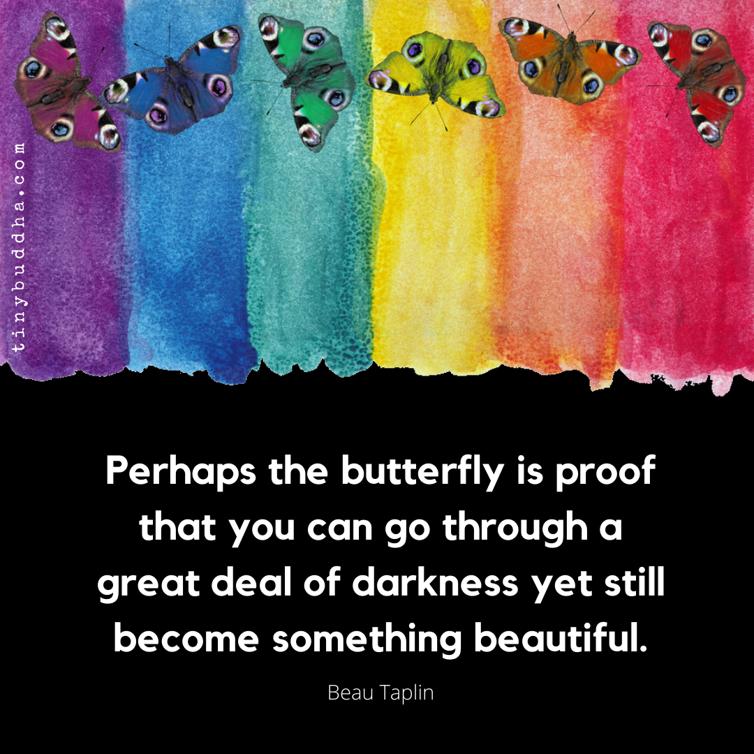 tinybuddha's tweet photo. "Perhaps the butterfly is proof that you can go through a great deal of darkness yet still become something beautiful." ~Beau Taplin https://t.co/9vtJTggUr1