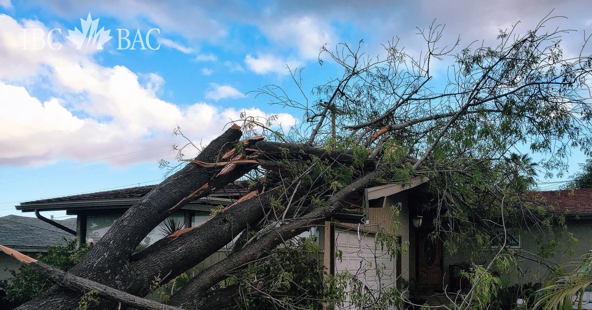 Do you know what you're covered for? Take the time to review your insurance policies and speak to your insurance representative. They're there to help. ibc.ca/ns/insurance-1…. #knowyourpolicy #insurance101