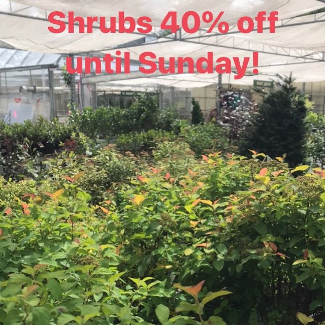 Our weekly sales have started!