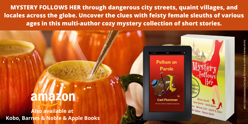 VikkiAuthor's tweet photo. "A fun group of cozy mystery stories set around the world. I love a good cozy mystery, especially ones featuring female sleuths. Mystery Follows Her is an excellent collection." https://t.co/yIZHIGF3Vt https://t.co/Pra26oSl5R