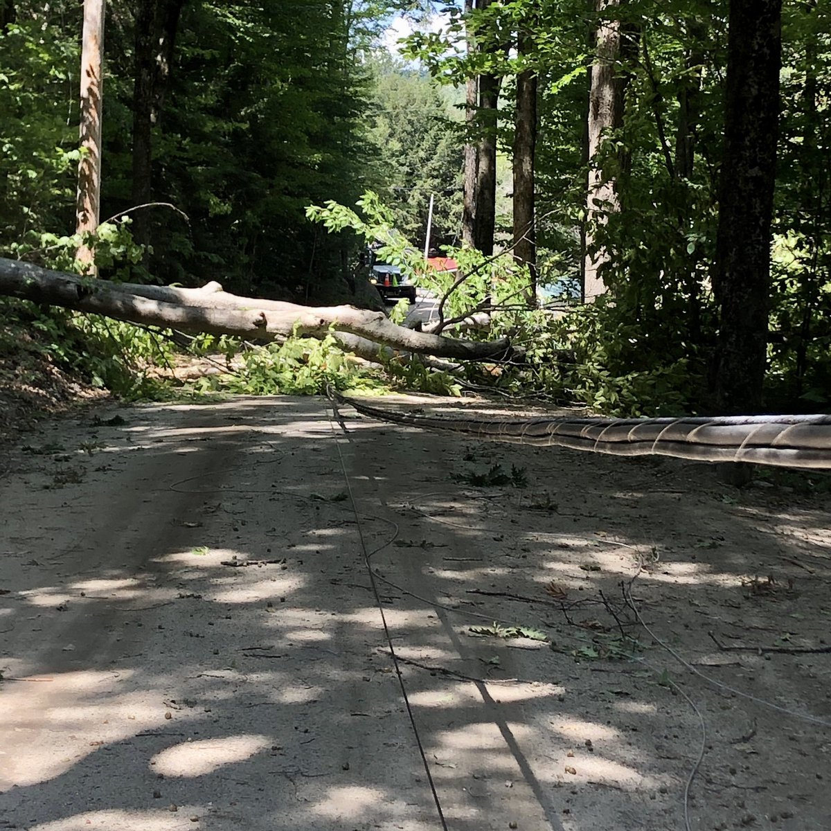 Eversource NH tweet media