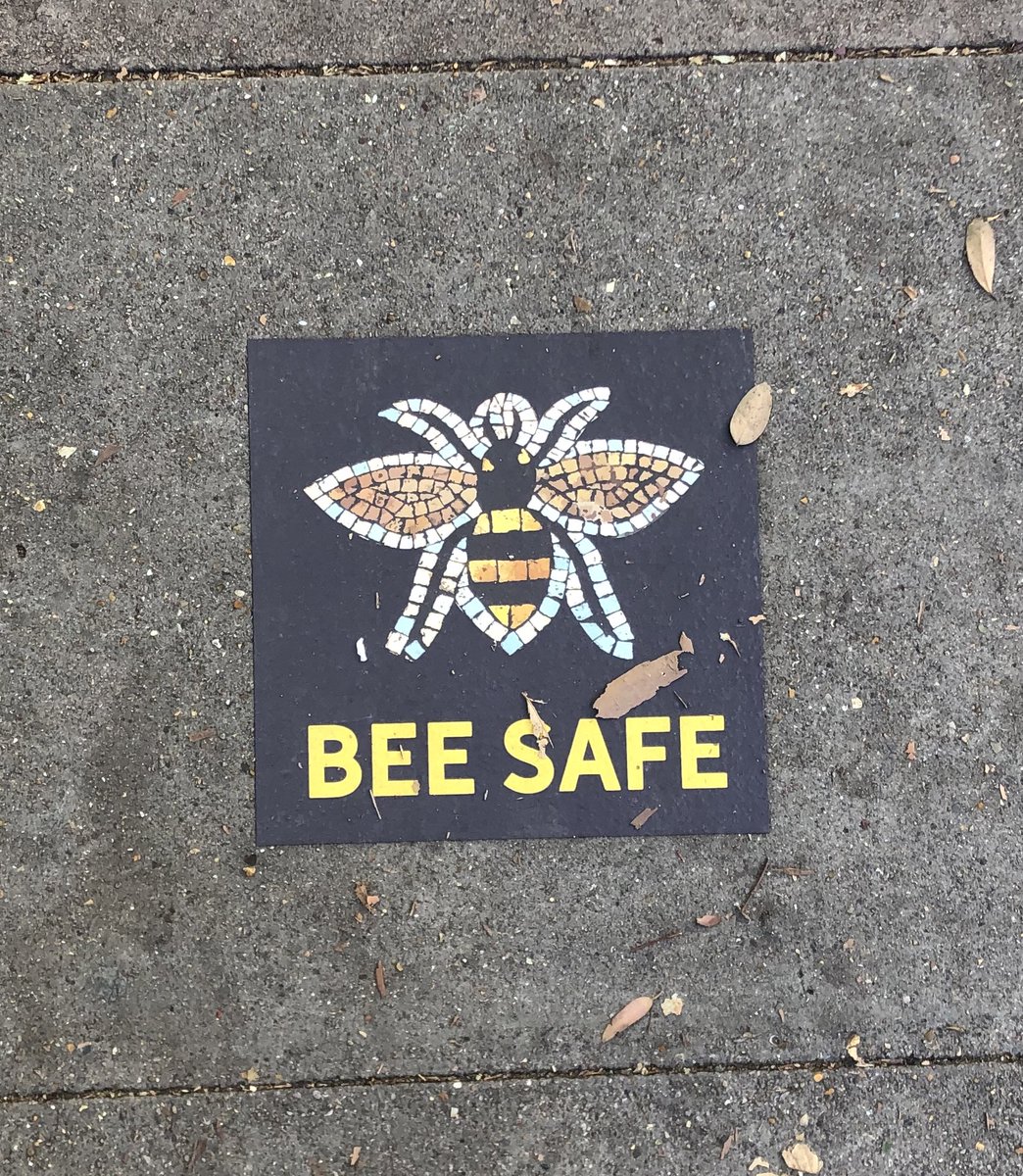 aled_rj's tweet photo. Spotted today on Falcon Road #BeeSafe #BeeAlert #BatterseaBee https://t.co/HYkcdbbdA3