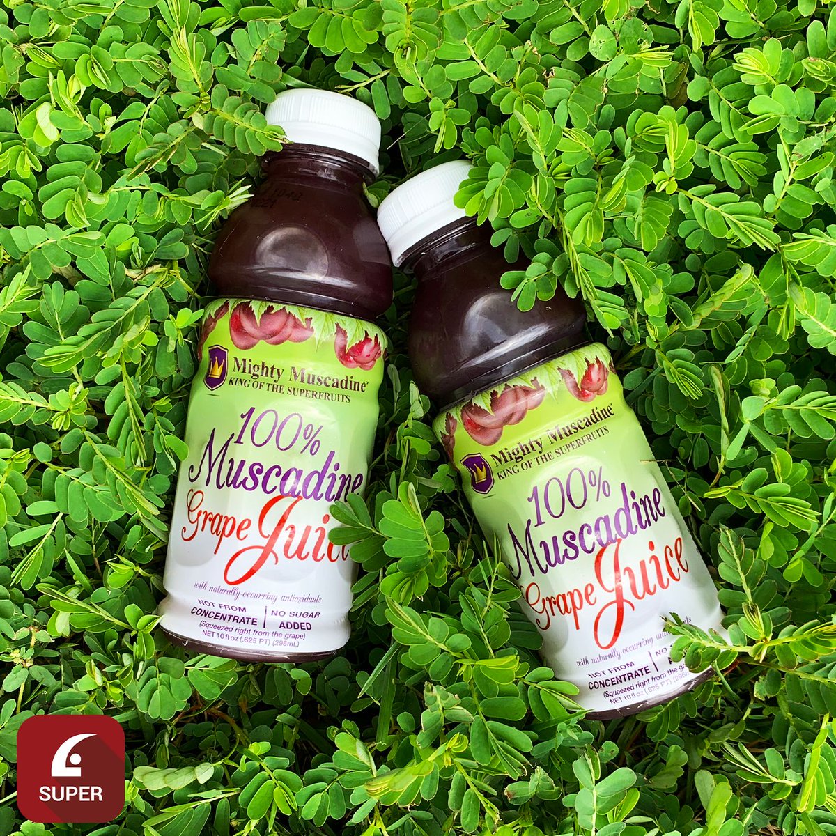 LifePlatform_'s tweet image. In addition to it’s great taste, Mighty Muscadine Grape Juice is packed with antioxidants to help fight free radical damage within your cells! Find it and the rest of the Mighty Muscadine products in the Super App Marketplace! 
#superapp #antioxidants #healthylifestyle #tylaw