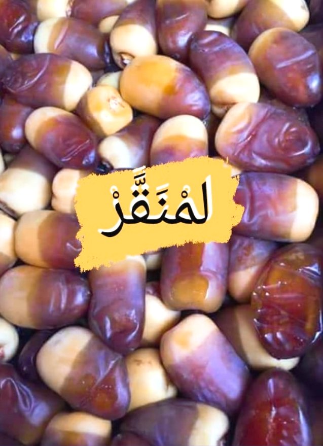 ElouedTime's tweet photo. لمنڨر (الرطب) هو المرحلة بين البلح والتمر، من أشهر الثمار التي يفضلها سكان ولاية الوادي. موسم جنيه يكون في الفترة بين شهر جويلية وسبتمبر، لمنڨر مع الحليب يعتبر وجبة غذائية متكاملة يعتمد عليها السوافة (سكان وادي سوف) لإكتساب حيوية ونشاط تساعدهم في تأدية أعمالهم
#الوادي #eloued https://t.co/bVNn4YViJV