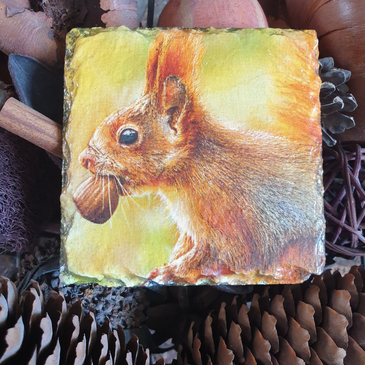 Hand painted and decoupaged slate coaster in a beautiful red squirrel design Just £3 etsy.com/shop/QueensOfC…
facebook.com/thequeensofcra…
#handmade #craft #Squirrels #slatecoaster #drinkscoasters #unique #nature #wildlife #forsale #decoupaged #giftidea #birthday #christmas