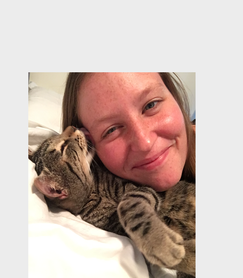 LostCatFinder's tweet photo. This cat who was chased by two dogs in the night is so happy to be home! https://t.co/gQwgFcqXOk