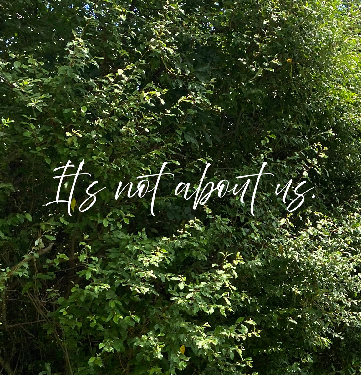 RewildInstitute's tweet photo. Our story is not about us. It’s about restoring our planet’s ecosystems. iRewild seeks to cultivate eco-citizens, to create a more reciprocal relationship between the human psyche, society, and our natural world to foster a thriving and flourishing planet #ecopsychology #ecology https://t.co/zoDNniWhQa