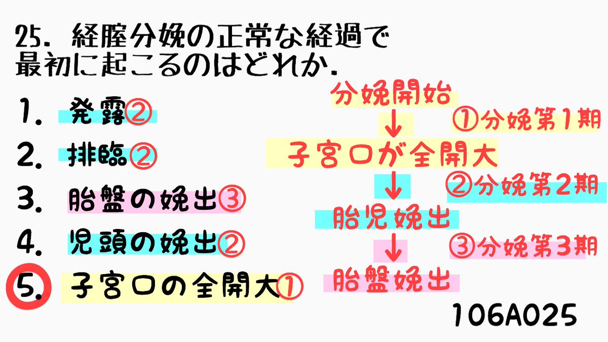 かんご国試 看護師国家試験 看護学生 分娩の経過 出産 かんご国試 看護師国家試験 看護学生 分娩の経過 出産