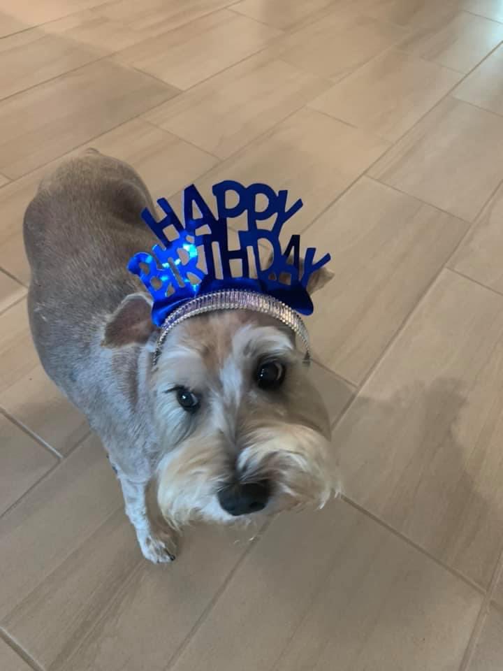 🦈Shark Lady🦈 tweet media