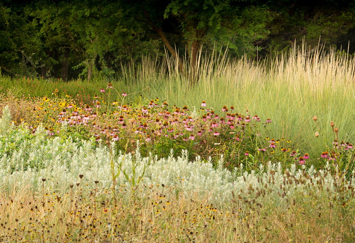 Hot Hot Hot #GardeningTips: Pay attention to which plants dry out the quickest. Factors such as being on a hill or along a particular side of a building can influence hours in full sun and wind exposure. Plan watering frequency with these variables in mind.