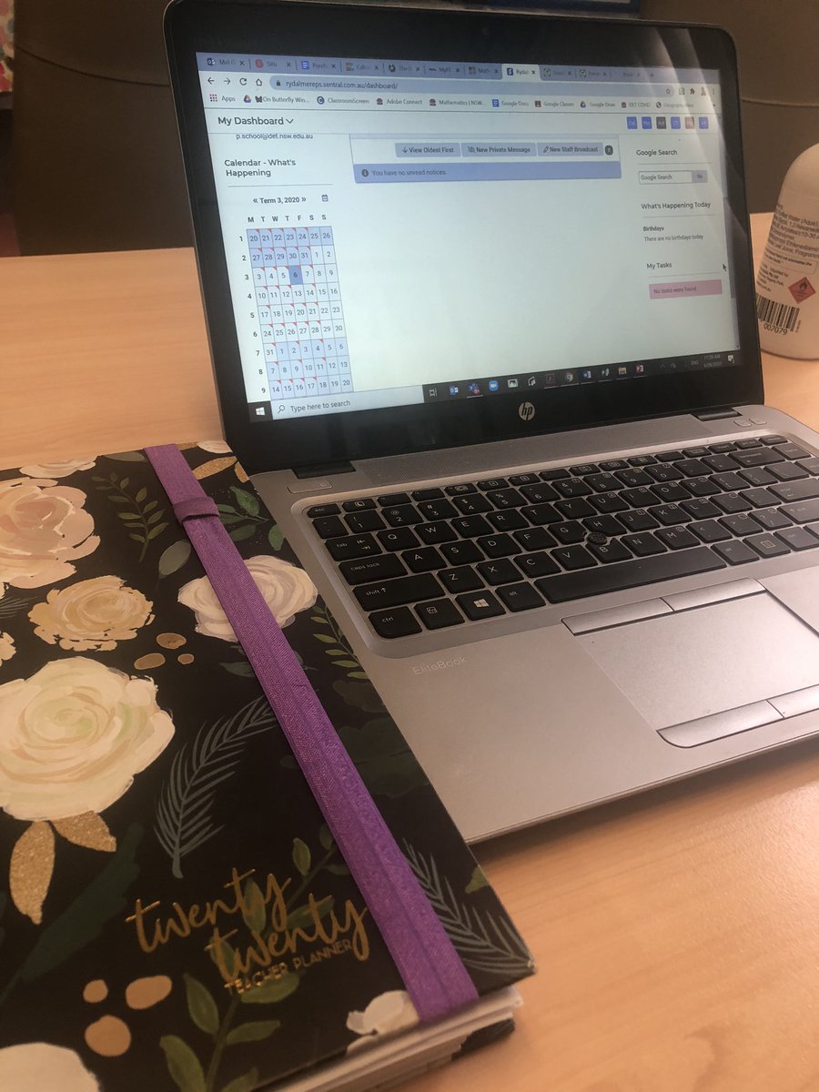 Executive RFF means over to Miss Lin for the Tweets on what 5/6R are up to 😊 #2020whatayear <a href="/bek_zadow/">Bek Zadow</a> <a href="/rydalmereps/">Rydalmere Public</a>