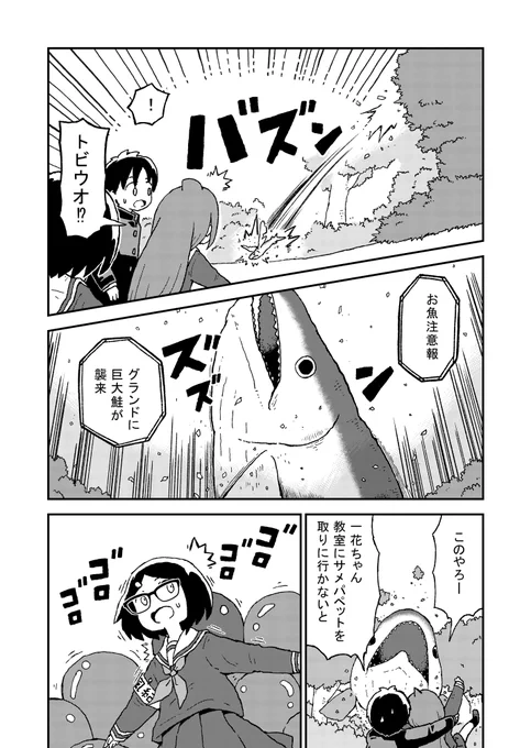 ちょっと悲しい
トビウオの話⑤ 