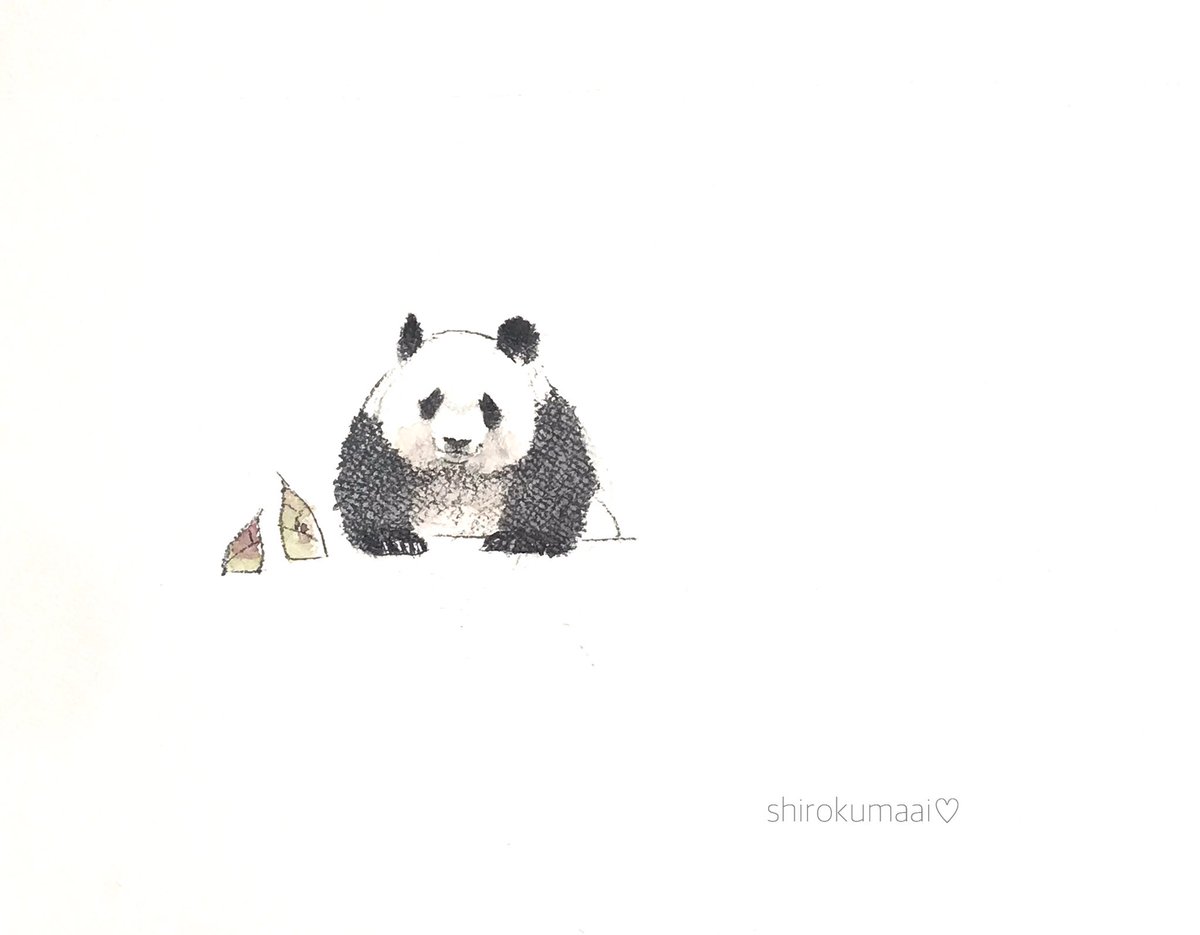 中村 愛 今日もごきげんなの 王子動物園 タンタン ジャイアントパンダ イラスト