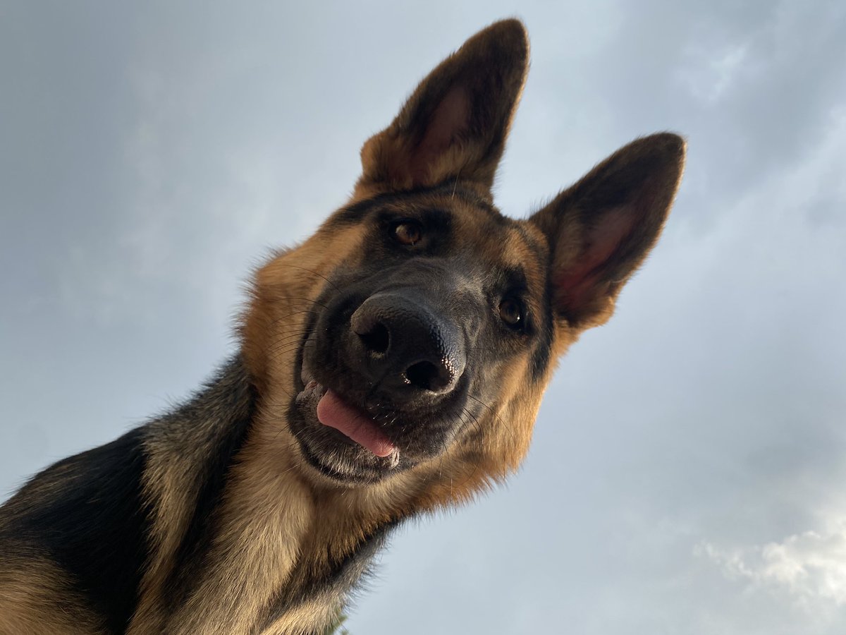 iwilldoitlater_'s tweet photo. Lookin’ for snacks https://t.co/1LPwtrJBV8