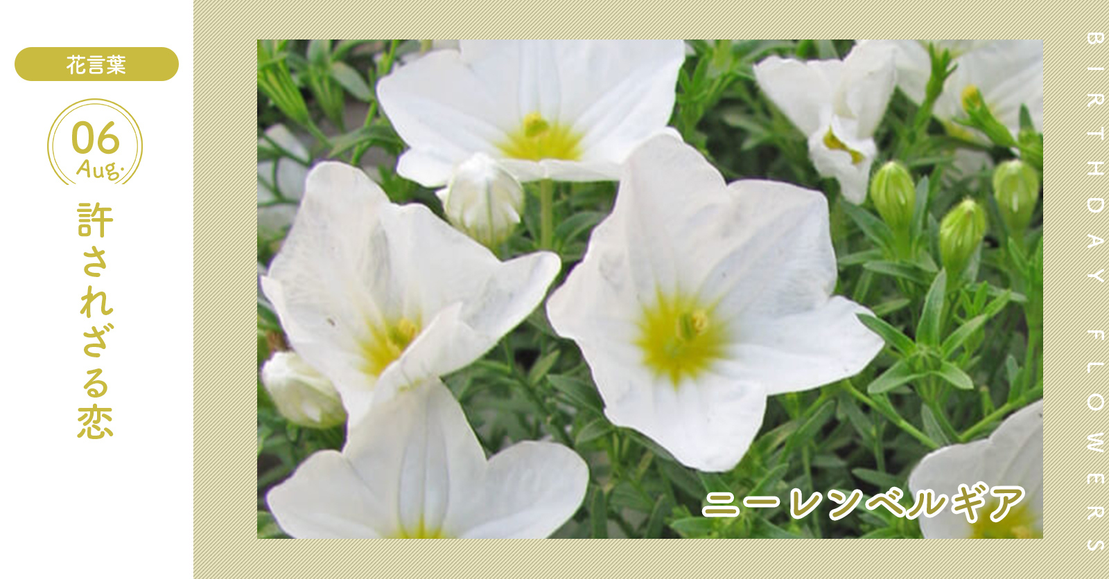 花キューピット I879 Com 公式 山下智久さんが届けます 母の日特別お届けキャンペーン 8月6日の誕生花 ニーレンベルギア お誕生日おめでとう 花言葉 は 許されざる恋 6月から9月の長い間よく花をつけて咲き続けます あなたはこんな人 頭が 花キューピット I879 Com 公式 山下智久さんが届けます 母の日特別お届けキャンペーン 8月6日の誕生花 ニーレンベルギア お誕生日おめでとう 花言葉 は 許されざる恋 6月から9月の長い間よく花をつけて咲き続けます あなたはこんな人 頭が