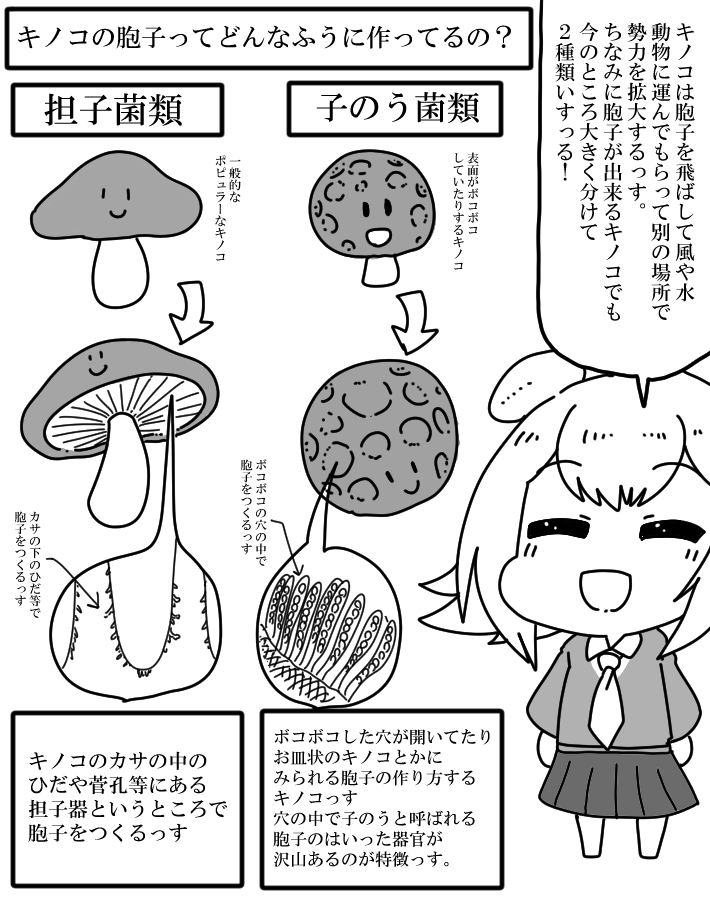 おはよう六花ちゃんのキノコの基本情報②胞子編 