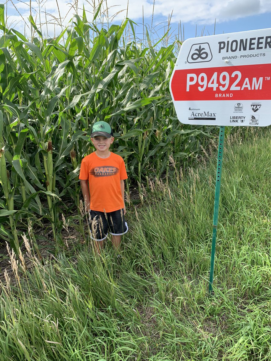 GernerKyle's tweet photo. Another beautiful night signing! @PioneerSeeds products looking great. #P9492AM https://t.co/Dn2e2ZOBs6