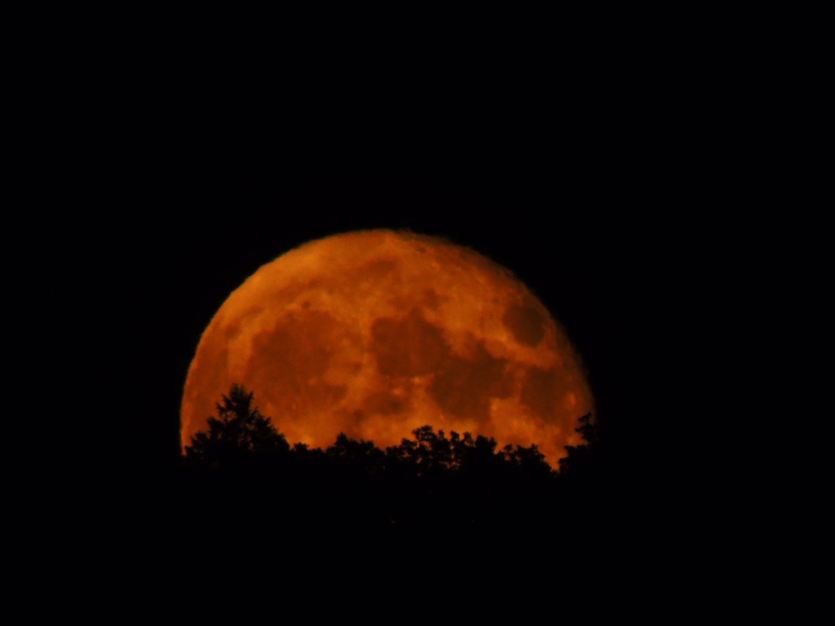 Full moon Isaias. Power and cell service are out. #astrophotography #moon