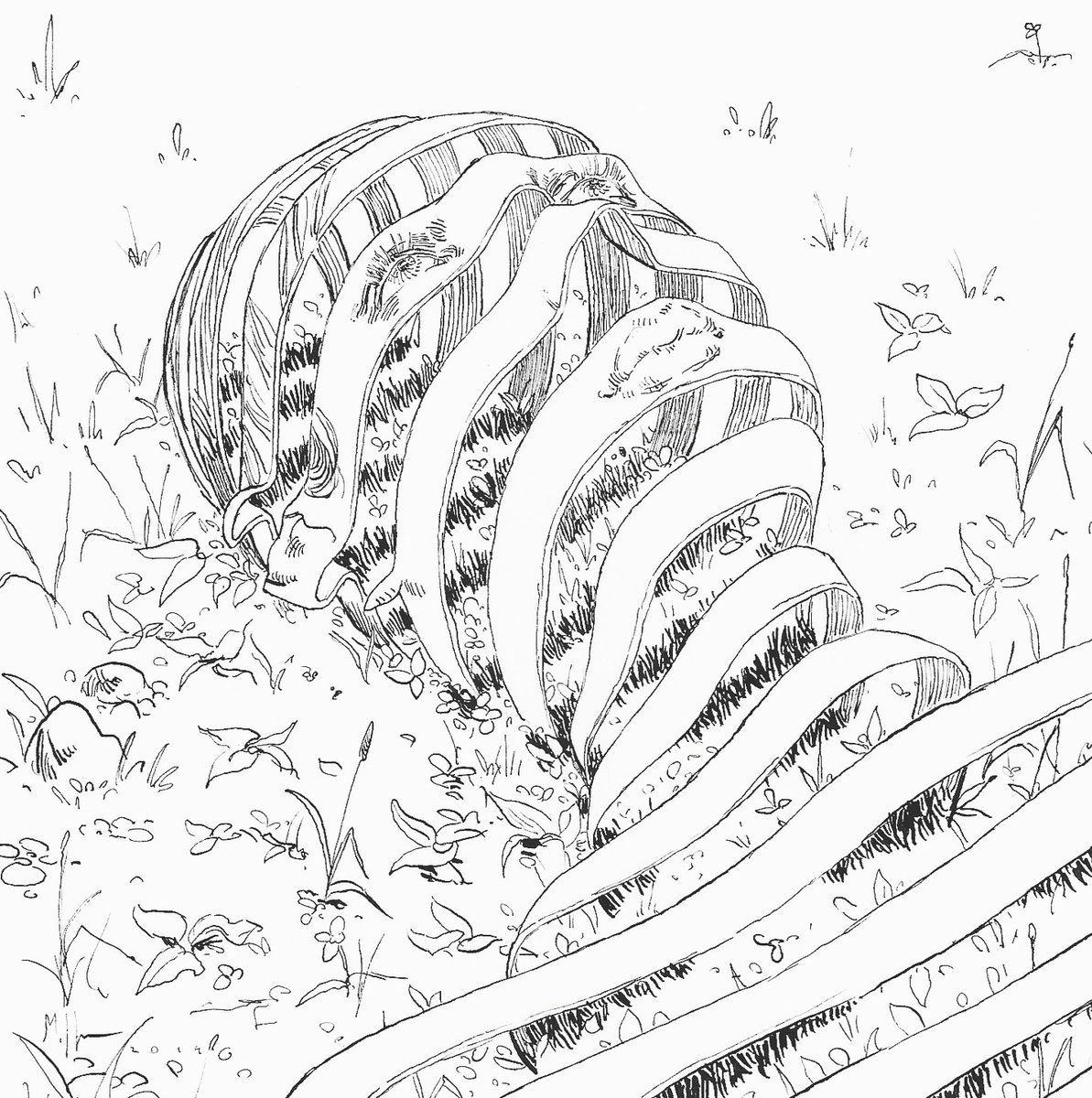 Drawing is a really rewarding way to make a living. I just want to make cool things to spice up ur day