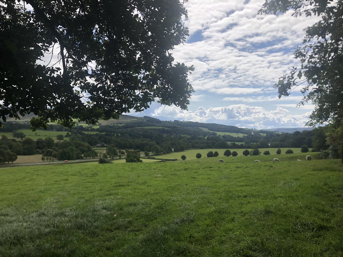 logicbuster's tweet photo. Though we must endure a typically unreliable English summer, it occasionally serves up the perfect conditions for x-country mountain-biking in North Yorkshire. 🚵🏻‍♂️ https://t.co/IN0NAIoGQ6