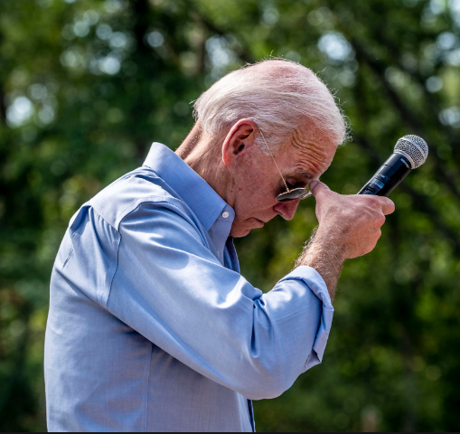 ddale8's tweet photo. Biden was photographed touching his forehead while conducting a town hall at an Iowa nature preserve in September 2019.

The Trump campaign edited out his mic and the trees to portray him as stuck in his Delaware basement...though kept his sunglasses. https://t.co/3XT2tmJZHj https://t.co/I2zgIL1x0M