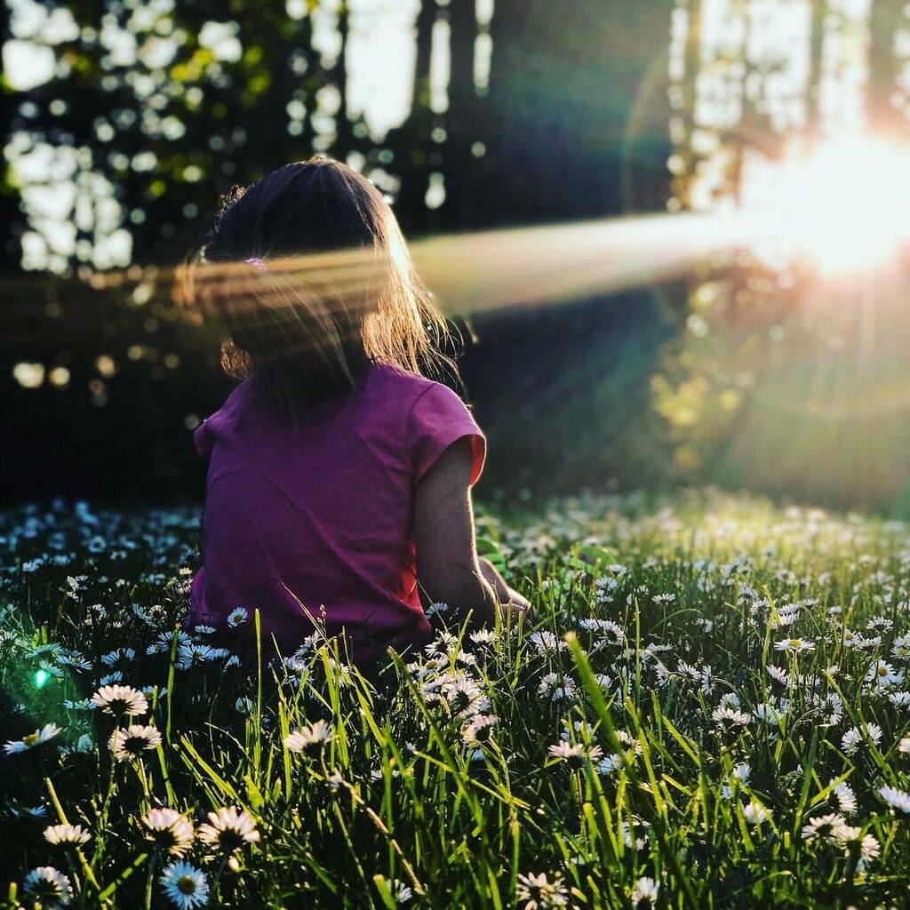 “To attract positive things in your life, start by giving off positive energy.” - Anonymous. It is so true! 
ift.tt/3gyVcxA
 #learnreiki #reikienergyhealing #lifeforceenergy #upcomingclasses#stressrelief#spiritualhealing