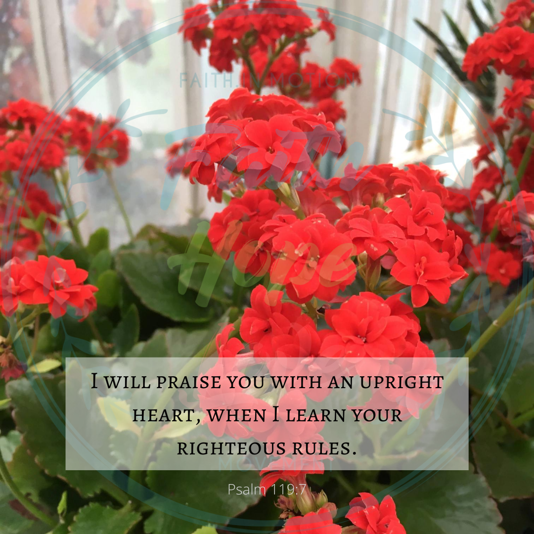 fhlmovementorg's tweet photo. Your love is so extravagant. Your mercies are endless. Your statues bring me life and fill my days with joy!
#faithhopelovemovement #faithhopelove #faith #hope #love #grace #amazinggrace #astounding #godisgood #peace #christianliving #christianpost #jesussaves https://t.co/eDAMnr69fb