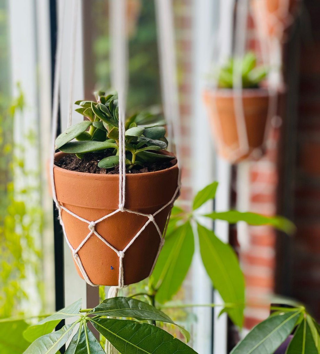 thestudio614's tweet photo. Who doesn't love a good macrame plant hanger?? Head to our website to check out this workshop along with others that we have scheduled for this weekend! https://t.co/NJFH5rLd2o