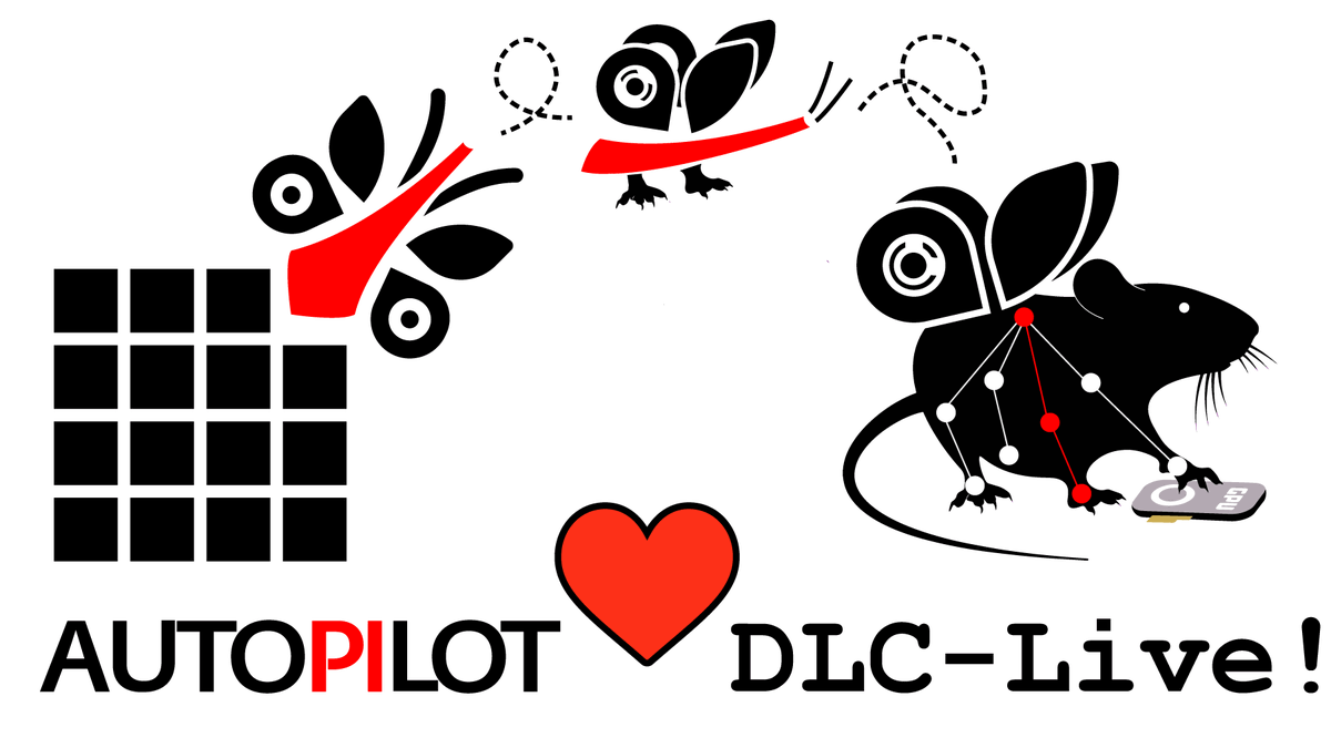 json_dirs's tweet photo. DLC-Live! and Autopilot are ~release twins~ today! I just pushed v0.3.0, which includes DLC-Live integration for realtime markerless tracking and about a thousand more commits of cool stuff for ya. a thread: /1

pypi: https://t.co/C4RIWgfoiW
release notes: https://t.co/TSb3t5isiC https://t.co/fzbELvjJgR