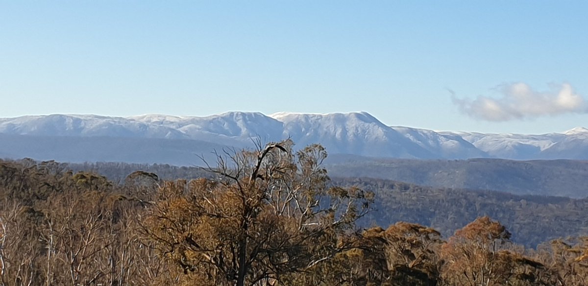 kyliedurant's tweet image. Dust of snow on Blackjack this morning #maragle #slopes2summit #uppermurray