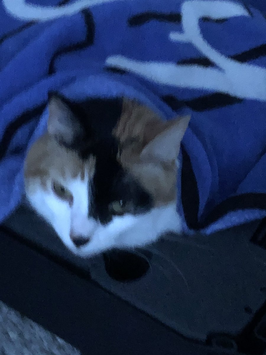 Delirious Dave (DeliriousDave2) Twitter