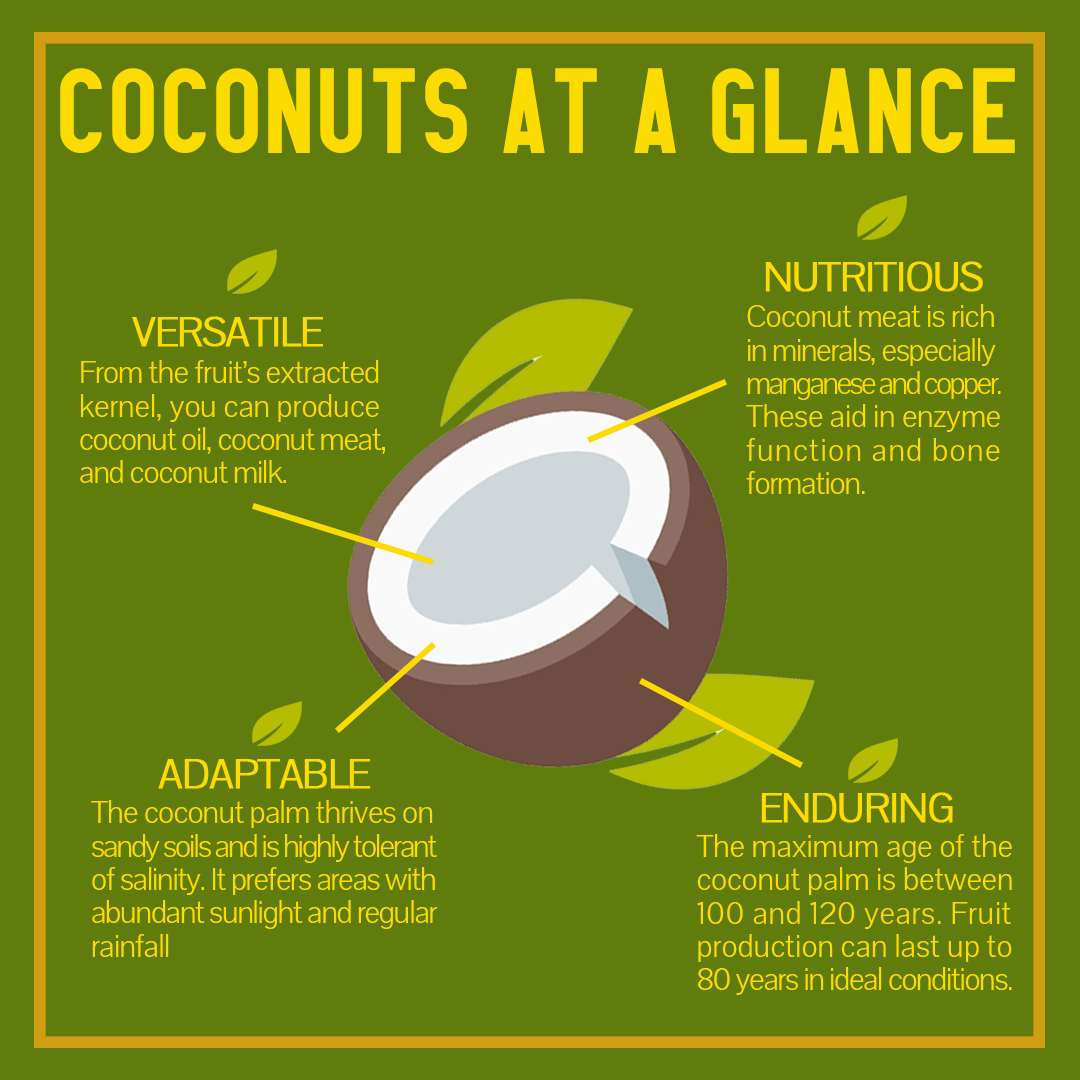HVA Ceylon tweet media