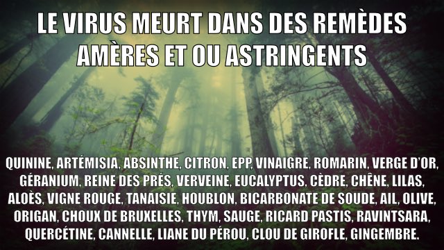 pres_reine's tweet photo. Le #virus meurt dans des #remèdes #amères et ou #astringents. Car ça détruit sa membrane de graisse protectrice. @GeneviveCaron18 @Darkfly_Qc @complotissss @SteveTighe5 @cherielle100 @PolygrapheL @Alexis_Cossette @Nenparlonsplus1 @plusquetupenses @MathieuLanglo12 https://t.co/VpMT9xMWCg