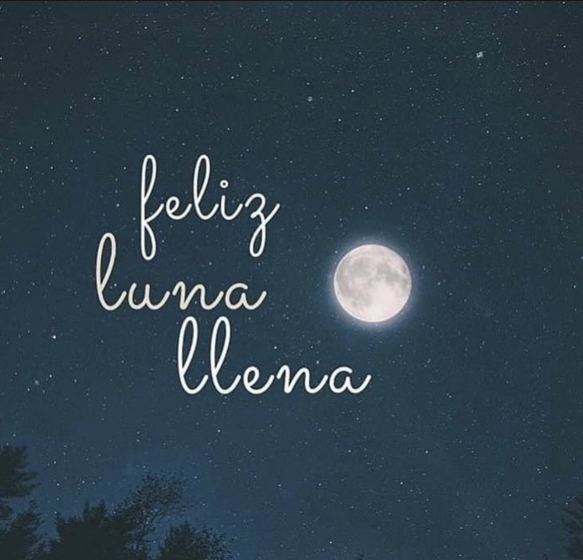 TheCubanSoul's tweet photo. #SinMentirteYo te deseo muy buenas noches desde la perla del mediterráneo! 🌙✨
Sigan teniendo buena tarde mis amigos, yo aporté mi pedacito! 😘 Se les quiere.
#GoodNight
#OrgasmusMagic
#CodiceRasta
#ElementTeam
@TheCubanSoul 🇨🇺 https://t.co/IVUtIsdkKh