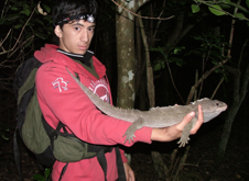 First, some thank yous. This project was made possible by a fantastic group of collaborators locally and internationally. I particularly wish to acknowledge the mahi of my friends at Ngātiwai who partnered with us to produce the genome for this unique taonga.