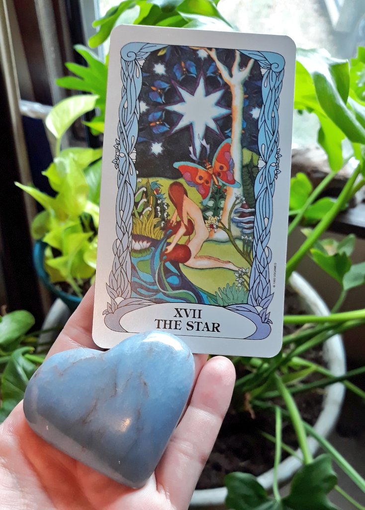 WitchesFor's tweet photo. The #TarotOfTheDay is The Star from the Tarot of a Moon Garden Deck
#CrystalOfTheDay is a heart shaped Angelite
.
#witchesforyang #witchyshit #witch #divination #psychology #tarot #crystals #crystal https://t.co/r6mAIwZH1N
