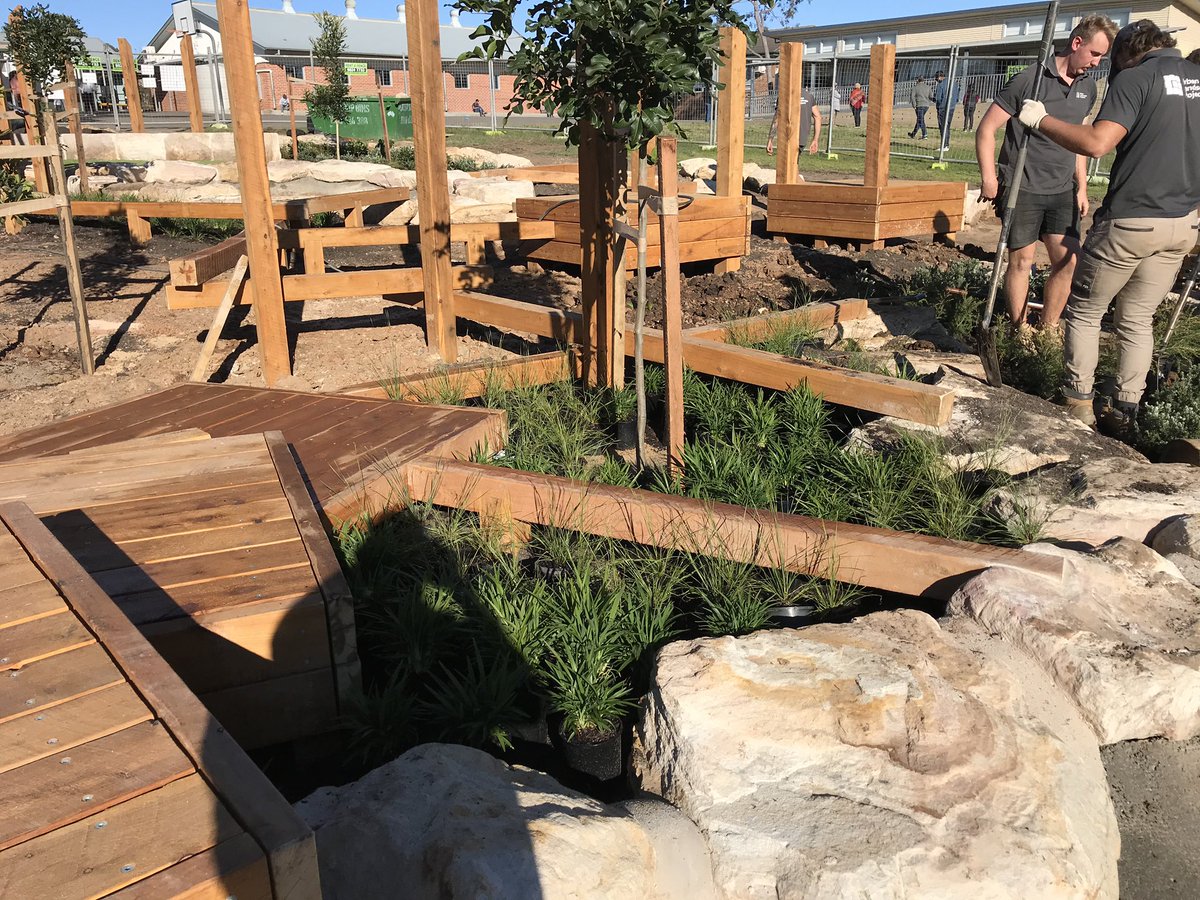 ULProjects's tweet image. Planting day at @BlacktownSthPS and the space is coming to life! This is going to be a great little play space with many opportunities for learning and play. #lovewhereyoulearn
