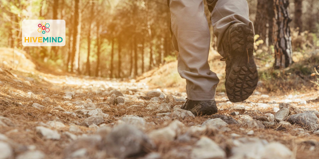 10k_voices's tweet photo. [#USA]#utah,#colorado,#oregon,#washingtong,#hikingHi there! Today we are looking for hikers, backpackers, and trail runners for an online community! If you like to be active outdoors, this study is for you!: https://t.co/on4Sj1rBSa https://t.co/v7ZF34Nbnf