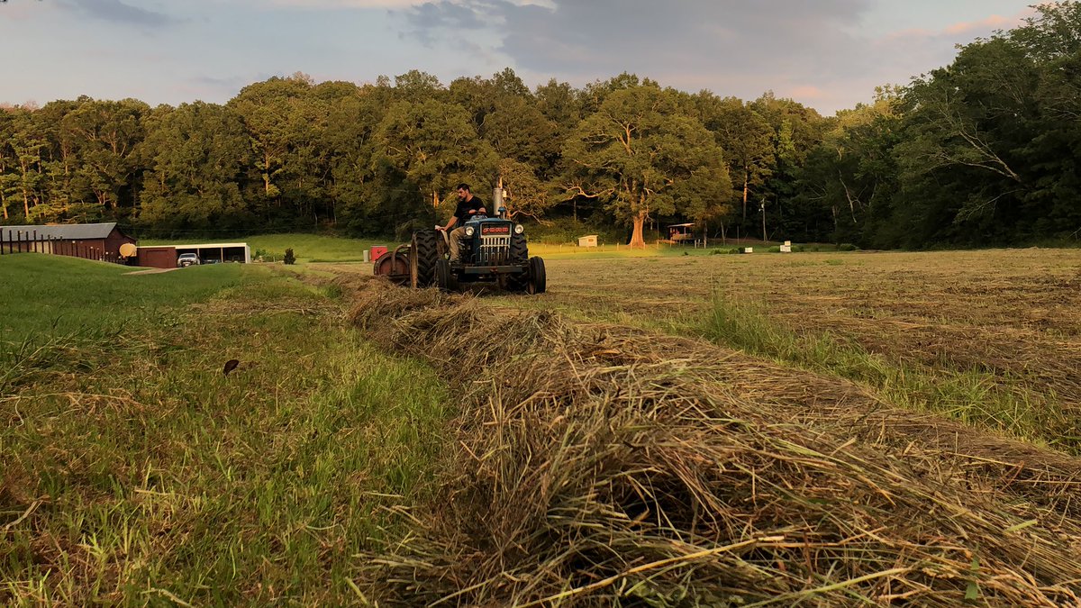 Kiki Crawford (@sunshinebrown1) on Twitter photo 