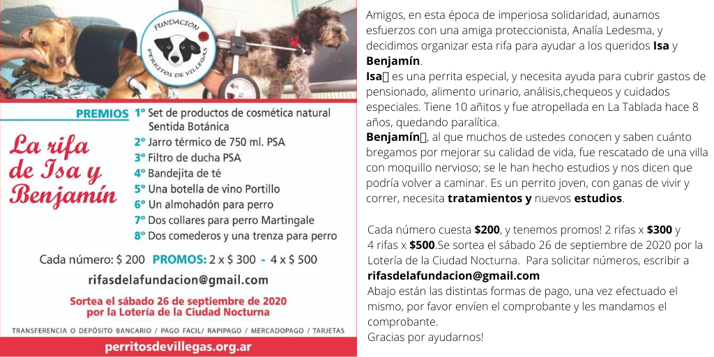 pdevillegas's tweet photo. En esta época de imperiosa solidaridad, organizamos una rifa para ayudar a dos perritos discapacitados Isa y Benjamín.  Lo recaudado será utilizado para pagar sus  insumos, pañales, tratamientos y estudios.Para adquirir números de la rifa escribinos a rifasdelafundacion@gmail.com https://t.co/G8TmoL25Ug
